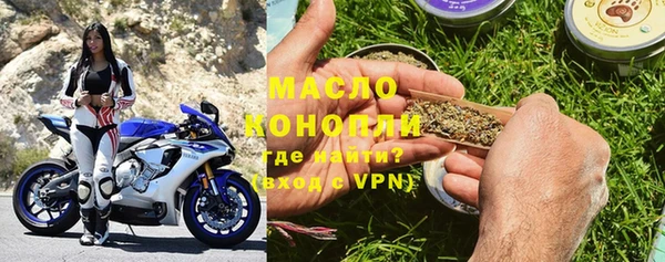 шишки Белокуриха