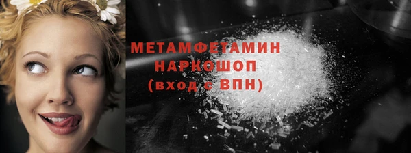 шишки Белокуриха
