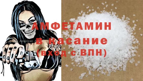 шишки Белокуриха