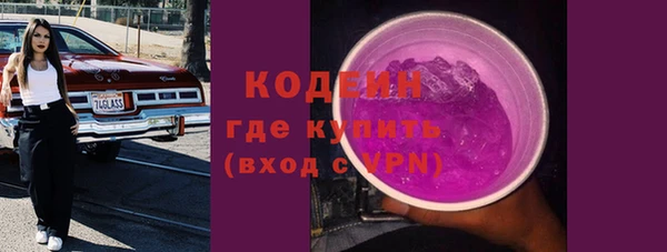 шишки Белокуриха