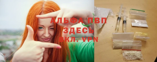 шишки Белокуриха