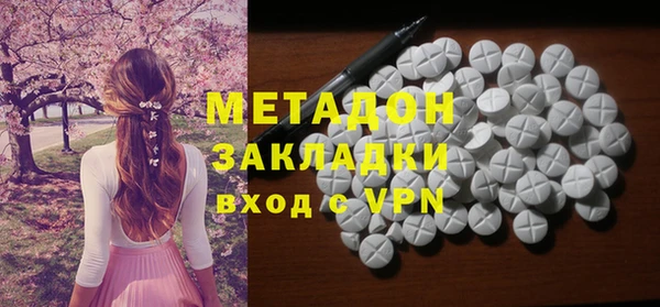 шишки Белокуриха
