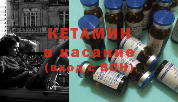 шишки Белокуриха