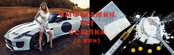 шишки Белокуриха